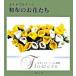  retro . современный . мир ткань. . цветок ... цветок . букетик 60 вид / Япония Vogue фирма ( большой книга@) б/у 