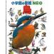  птица / Shogakukan Inc. /. дерево .( большой книга@) б/у 