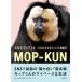  сейчас день. швабра kun белый gaosaki. швабра kun наблюдение регистрация /blueprint/ основа .( монография ) б/у 