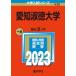  Aichi . добродетель университет 2023/.. фирма /.. фирма редактирование часть ( монография ) б/у 