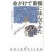  жизнь ... юг высшее ....../ Kashiwa книжный магазин /ga желтохвост L * War машина ( монография ) б/у 