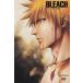 BLEACH bow nto*. душа . чуть более ..1 ограниченая версия /. часть регистрация . б/у 