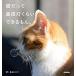  кошка ... нос фонарь примерно возможен ... / синий . фирма /.....( монография ( soft покрытие )) б/у 