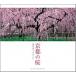  Kyoto. Sakura / свет .. старинная книга ./ Fukushima правый .( монография ) б/у 
