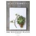 впервые .. суккулентное растение жизнь стильный .... из,... person,.. person до /. документ . новый свет фирма /. земля конец .( монография ) б/у 