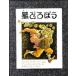  звезда .... новый версия /... выпускать / Andre a*tinoto( большой книга@) б/у 