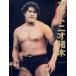  Anne tonio. дерево ... . душа, ультра . легенда / Baseball * журнал фирма / еженедельный Professional Wrestling ( монография ) б/у 