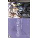PSP Star lease kai winter б/у 