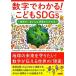  цифра . понимать!...SDGs земля ... какой состояние . понимать книга@/ can zen/ bound ( монография ( soft покрытие )) б/у 