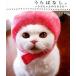 ����΂Ȃ��B ���炿���̂R�U�T��/�A-�X�E�X�^-�G���^-�e�C�����g/�i�n�d�i�P�s�{�i�\�t�g�J�o�[�j�j ����