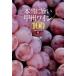  действительно .... вино 100/i Caro s выпускать / новый рисовое поле правильный Akira ( монография ( soft покрытие )) б/у 