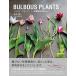 BULBOUS PLANTS луковица растения. . пятна / пирог Inter National / сосна рисовое поле line .( монография ( soft покрытие )) б/у 