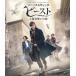Blu-ray вентилятор ta палочка * Be -тактный . Mahou Tsukai. . Blue-ray &DVD комплект / David *i.-tsu постановка б/у 