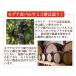 �o���T�~�R�|  ���f�i�Y �P�O�N���� 500ml ���I�i���f�B�[�� �n�� ������ �\�[�X �C�^���A�Y �h���b�V���O �� �� ��� �ʕ� �֘A�摜4