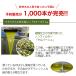 2026�N�x�\��̔��J�n�I �k�I�[�{�I�C��  �T���o�[�j�� �m���F�b��  �m�x�b�� �m���t�B���^�[ 500ml�~3�{ �����ȃZ�b�g���� �������� �֘A�摜4