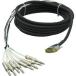 Live Wire 8-Channel DSUB-TRS Snake 10 Foot/꡼
