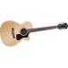 Guild Guild F-30RCE Standard Cutaway electric acoustic guitar 