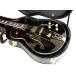 Hollow Body Jazz Electric Electric Guitar w/ Case エレクトリックアコースティックギター エレアコ