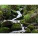 ꡼ե륿/Lee 9NDSTD .9ND Neutral Density Filter 4inx4in Resin 9NDSTD LEND9
