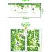 �E�H�[���X�e�b�J�[ �� �A�� ������� �A���t�@�x�b�g �k�� �� �q������ �V�[�� �� �J�t�F ���_�� ���� �O���[�� �傫�Ȗ� �A�C�r�[ ���[�t �� �X �X�� vr0410 �֘A�摜3