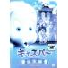  Casper рождение сборник прокат б/у DVD