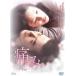  боль прокат б/у DVD корейская драма Kwon * Sang-woo 