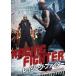  Ray Gin g* Fighter [ субтитры ] прокат б/у DVD