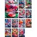 ̥饤 ɥ饤 12 1áǽ 󥿥 å  DVD  