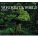 WONDERFUL WORLD ̾ 󥿥  CD