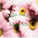 Public Garden прокат б/у CD