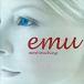 emu этикетка торцевая дверь CD прокат б/у CD