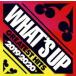 watsu* выше серый тест *hitsu2019-2020 2CD прокат б/у CD