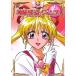 [ б/у ] Kamikaze Kaitou Jeanne (8 шт комплект ) [ прокат ] [DVD]