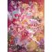 [ б/у ] фильм Precure Dream Star z! [ прокат ] [DVD]