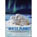 [ б/у ] белый * planet [ прокат ] [DVD]