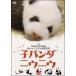 [ б/у ]. Panda ni морской еж u[ прокат ] [DVD]