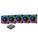 Thermaltake Riing Plus 12 RGB Radiator Fan TT Premium Edition -5Pack- ե FN1088CL-F054-PL12SW-A