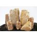 [ flat line импортные товары ]Lifegard Aquatics 10G-Burma Burma Petrified Stone 10G Rock Kit, Brown