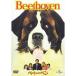  новый старый товар ) Charles * свечение DIN | беж to- Ben (DVD)
