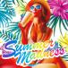 ) ˥Х  SUMMER MADNESS(DVD) (CD)