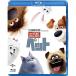  новый старый товар ) | домашнее животное (Blu-ray Disc) (Blu-ray)