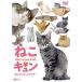 ͤ Τˤ󤳥 We Love Cat   (DVD)