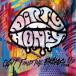 CANT FIND THE BRAKES  DIRTY HONEY (CD)