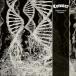DISSONANCE THEORY -ltd.2CD-( первый раз ограничение запись ) | CORONER (CD) ( продажа после наличие )