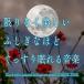 ¤ʤ դʤۤɤä̲벻  J.Project (CD)