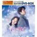 gbPr`NꂽX` XyVvCXŃRpNgDVD-BOX1 ^ RE (DVD)
