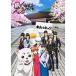  Gintama после праздник 2023 | Gintama (DVD)