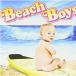 Beach Boys  һ (CD)
