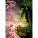 wi Kid крышка .. . женщина специальный * цена | sincere *elivo/ Aria na* grande (DVD)