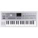 [ ограниченный товар ]KORG MICROKORG 2 / MWH